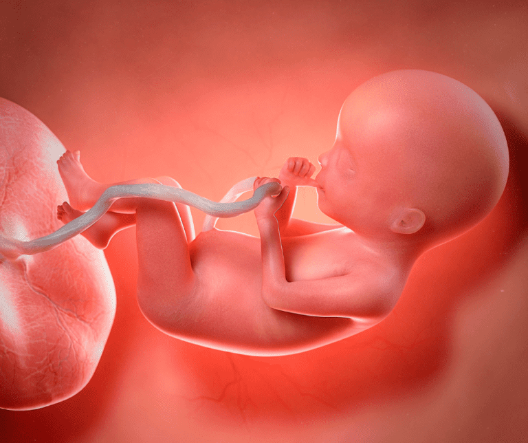 Exploring the Benefits and Risks of Lotus Birth