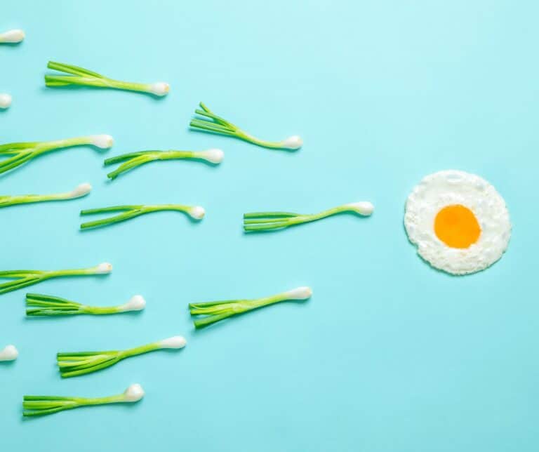 Foods That Boost Fertility in Women- An Infographic