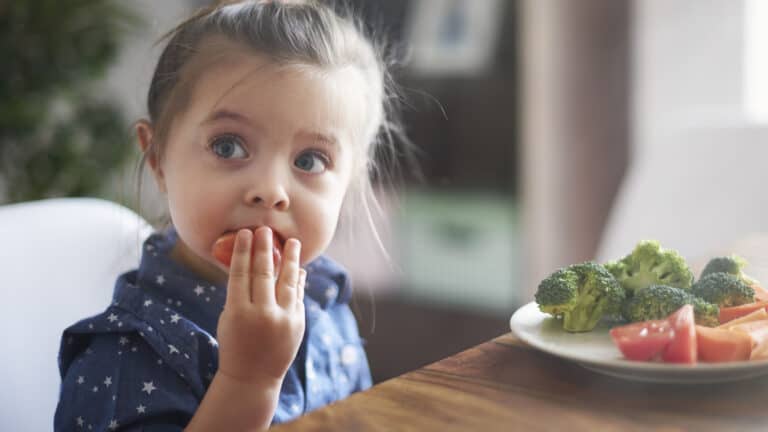 Bored with Lunch? Try These 11 Easy and Nutritious Family Lunch Ideas