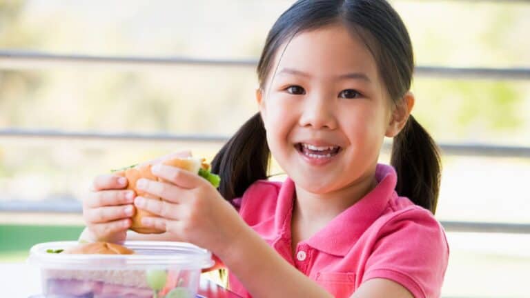 24 Fast Delicious Toddler Lunch Ideas for Home and Day Care