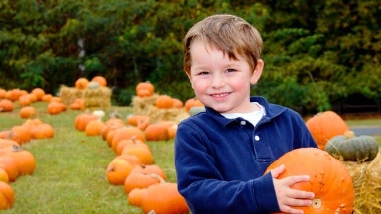 14 Cool Ways to Use Pumpkins Outside of Pies and Lattes