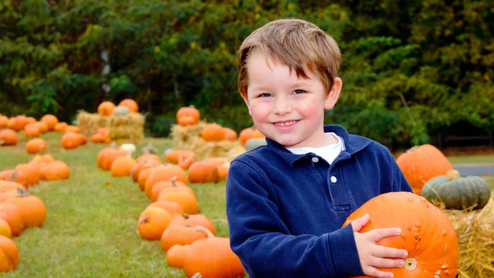 Happy young boy picking a pumpkin for Halloween