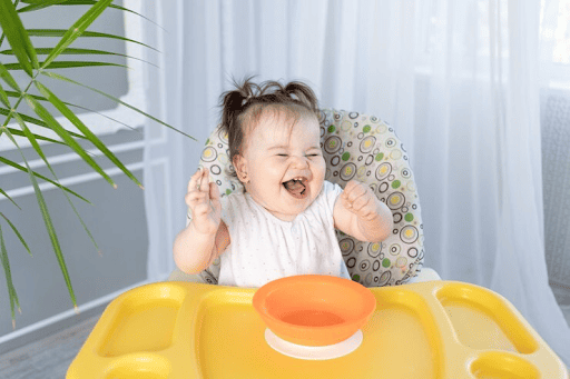 Best High Chair for Baby Led Weaning: Top 9 Picks