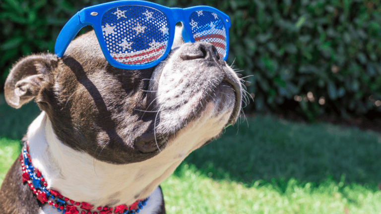 11 Fun American Things People Are Planning for the 4th