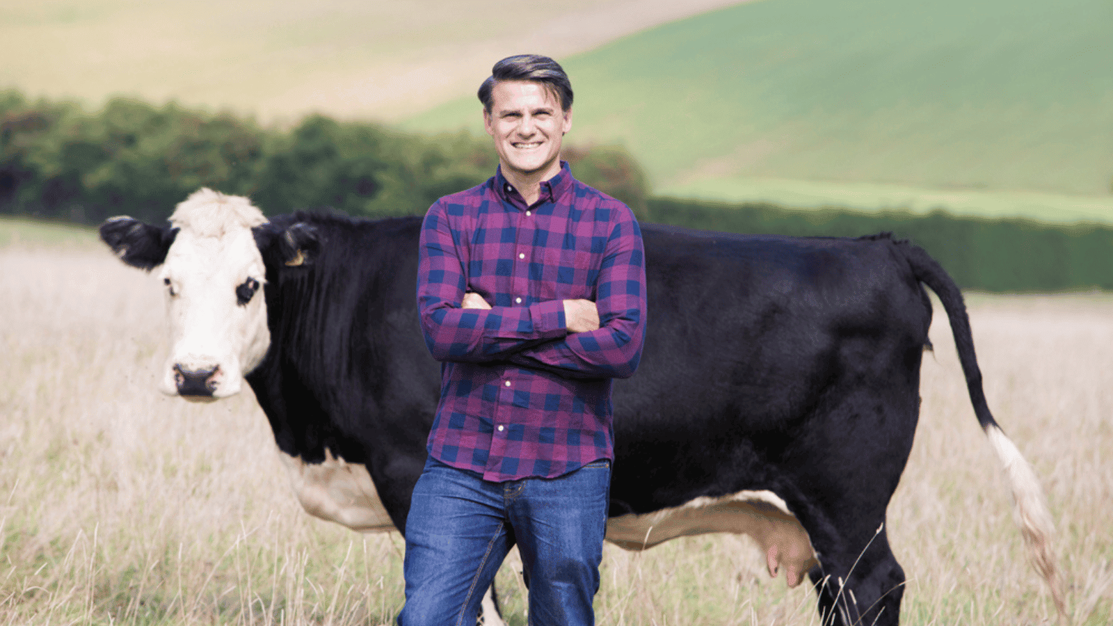 man with a cow farmer country