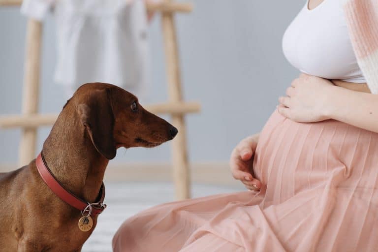 Maternity Shoot Ideas