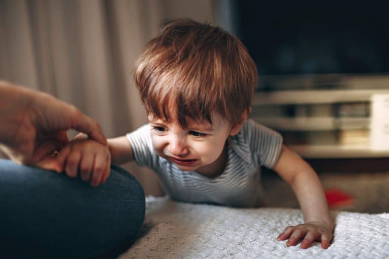 Fearful Toddlers: Expert Advice on How to Help Your Child Through Insecurities