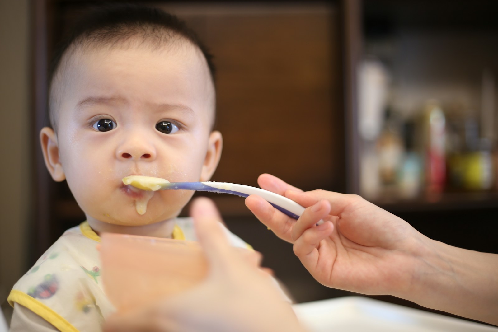 person feeding baby; introduce solid foods