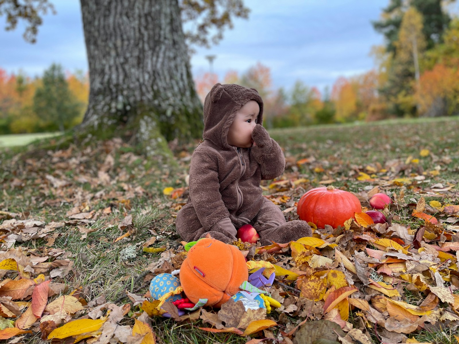 A small child sitting on the ground in a pile of leaves- sensory-friendly
